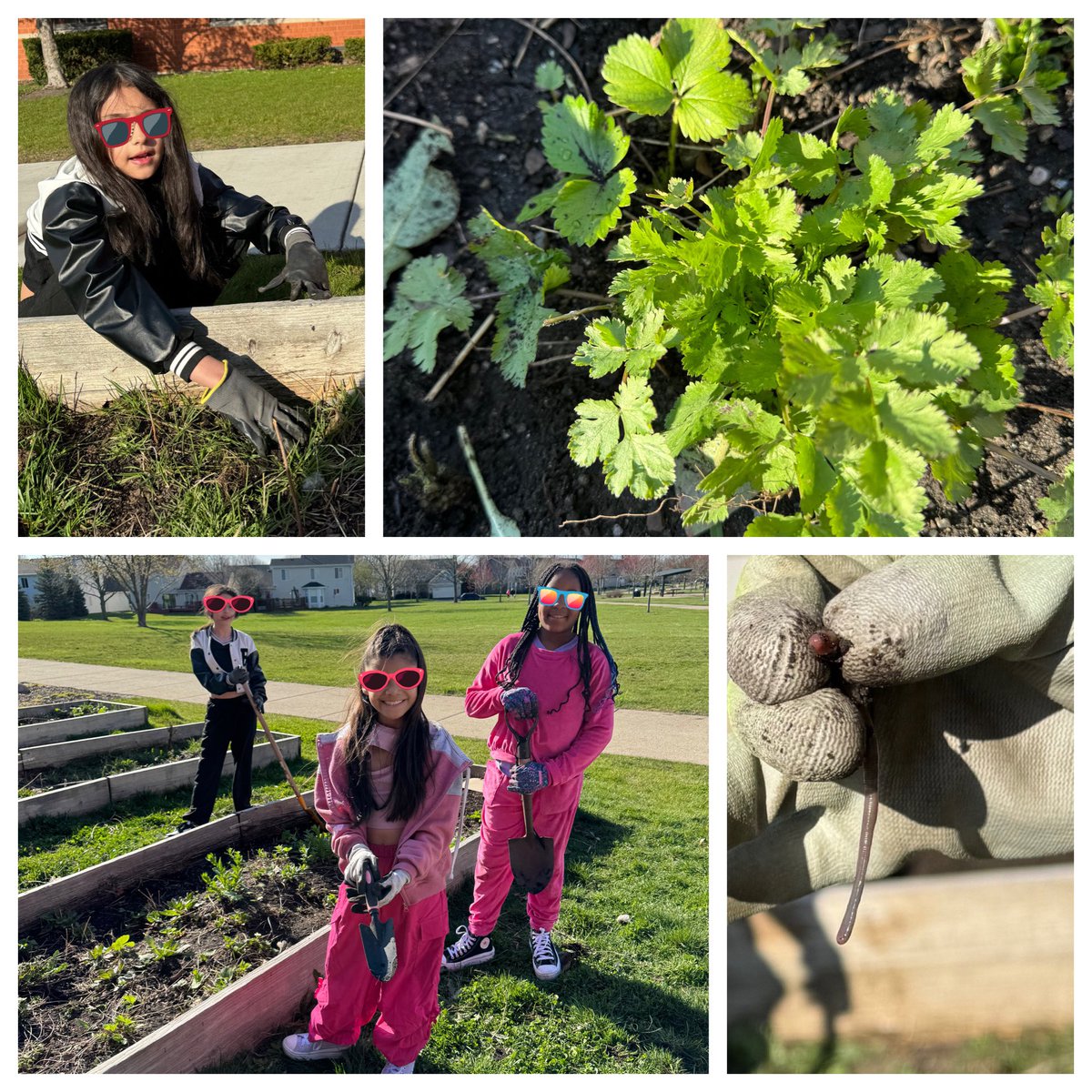 Melissa Eaton tweet media