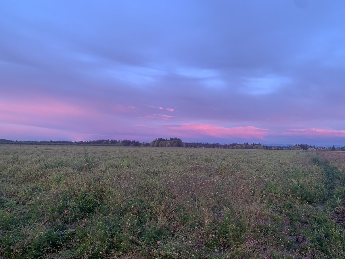 oregoncitizen_'s tweet photo. Driving through the valley &amp; had to stop &amp; capture the sky…#willamettevalley #oregonisbeautiful https://t.co/j77UcmEtMx