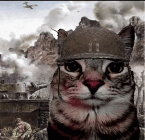 on the brink of war ww3 coin rising there is only one war cat