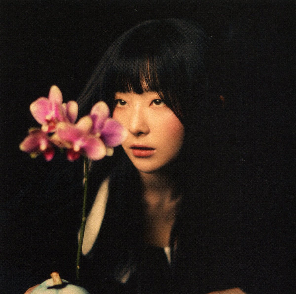 seulgikpics's tweet image. THE SEULGI