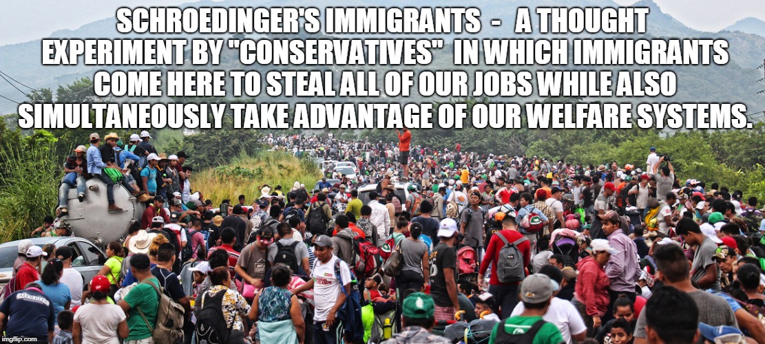 Bug,Stev tweet media