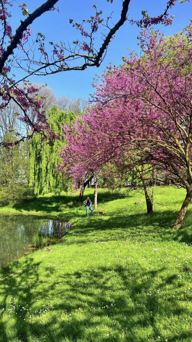 Ci credereste mai? Sì, è #Milano e come al solito vi arrivi la mia buonanotte con le foto di milano_segreta #ParcoForlanini