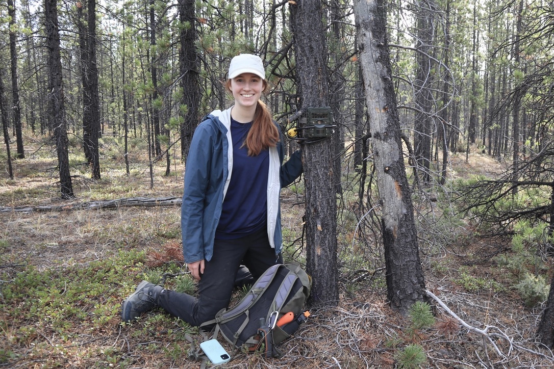 cole_burton's tweet photo. Big congratulations to @KatieTjaden for successfully defending her MSc thesis today!! 👏🎉 Impressive #cameratrap research on "Understanding drivers of caribou decline and feral horse dynamics in the Chilcotin Plateau of British Columbia". 🐎🦌🌲📷 https://t.co/bSD8KoH99M