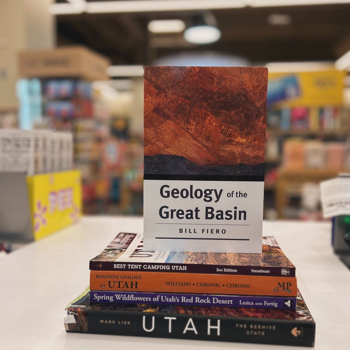 Now that it finally feels like spring, it’s time to break out those outdoorsy books 🐪🏜️🌵 

#mybn #bnbuzz #sandyutah #saltlakecounty #slc #bn236 #bookstagram #bookcommunity #bookish #igreads #igbooks #booknerd #instabooks #booklove #instabook