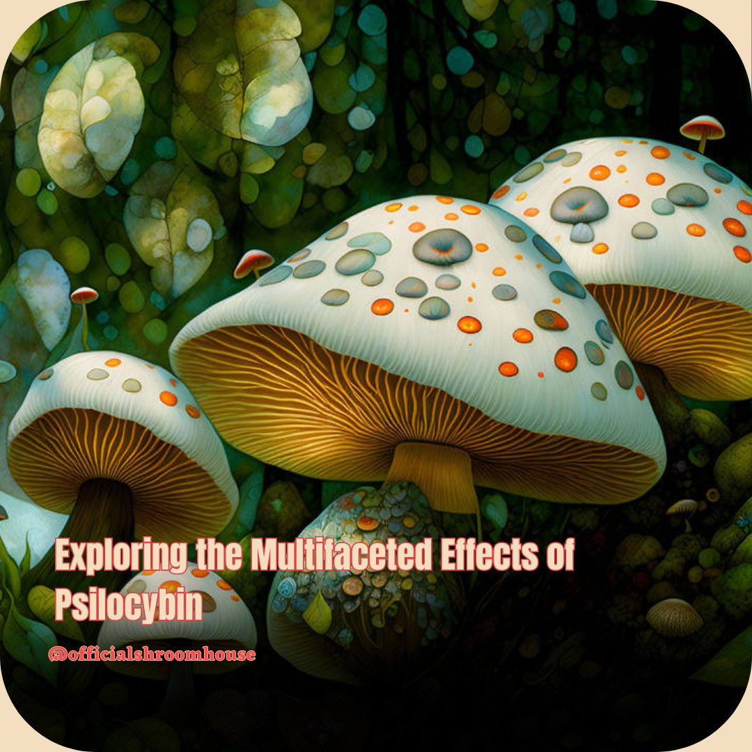 Psilocybin, found in magic mushrooms, alters perception in fascinating ways, from vivid colors to ego dissolution. Understanding its effects is key to harnessing its therapeutic potential. #PsychedelicResearch #MindExpansion