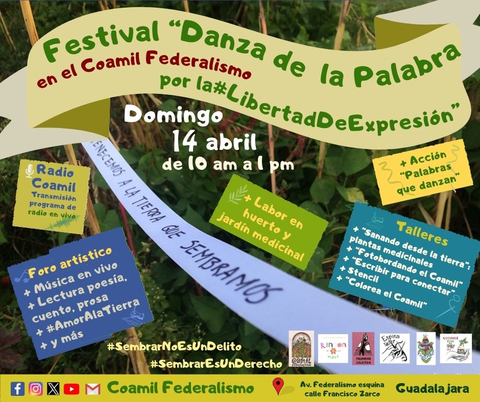 Coamil Federalismo tweet media