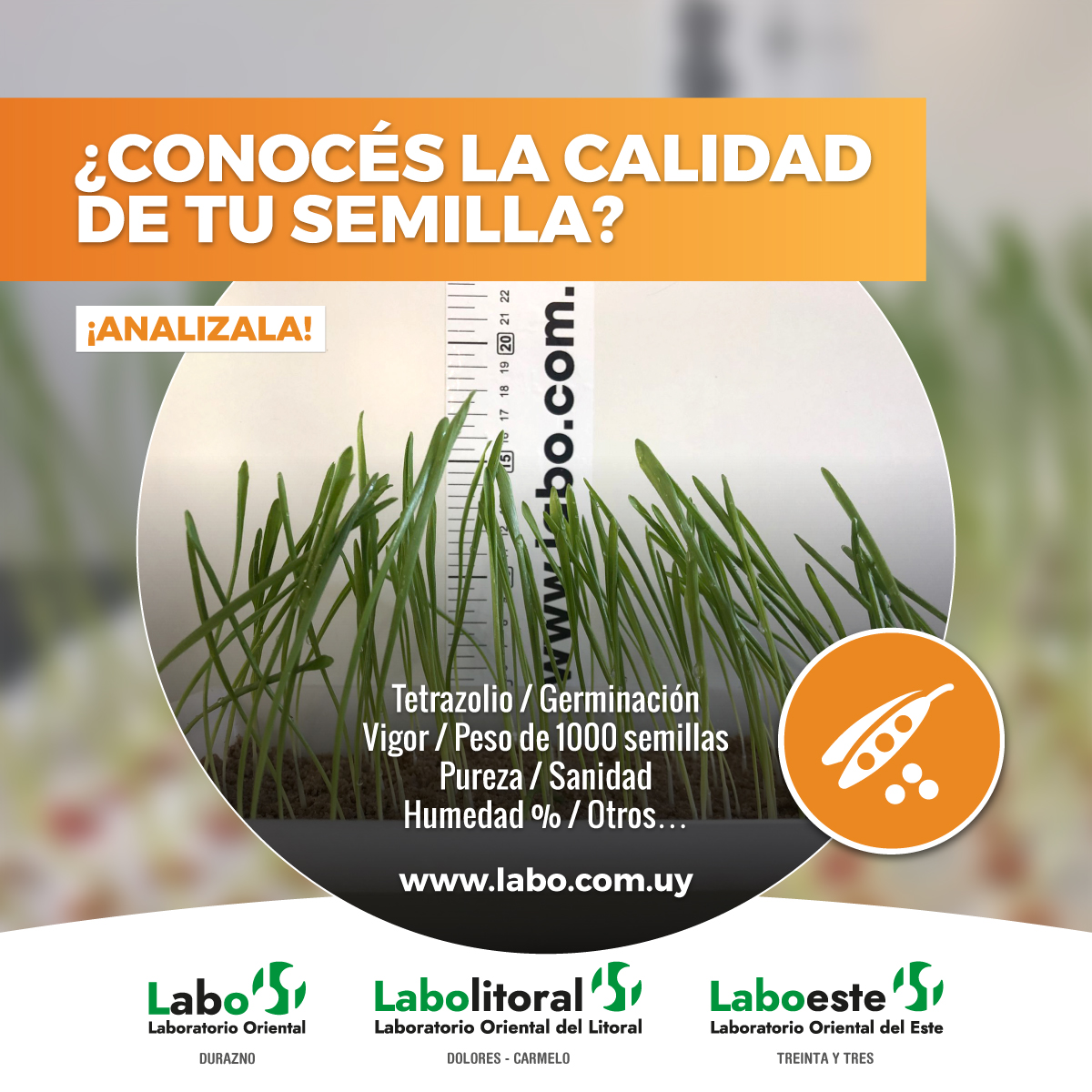¿Conocés la calidad de tu semilla?
¡Analízala con tiempo!
Somos Laboratorio Oriental, calidad en análisis.
CONSULTAS GENERALES
+598 97 730 755 (llamada o whatsapp)