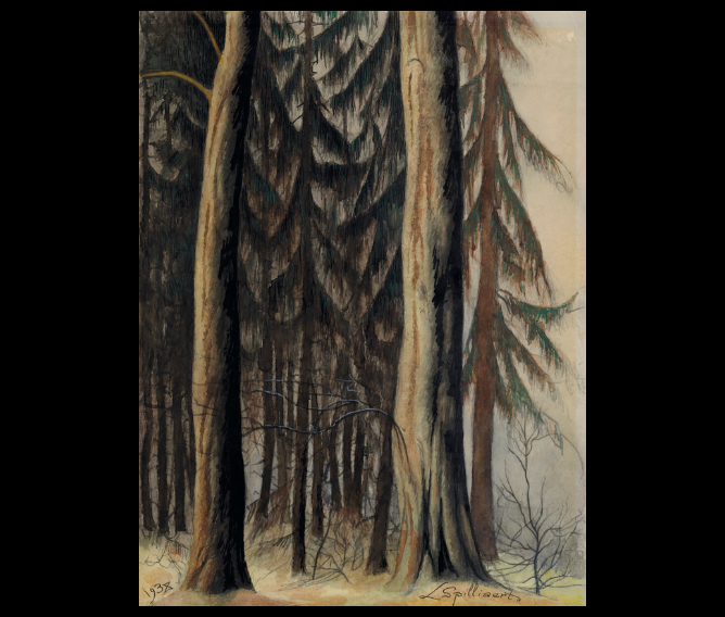 'Forêt de sapins' - Léon Spilliaert (1881-1946) 
#LéonSpilliaert