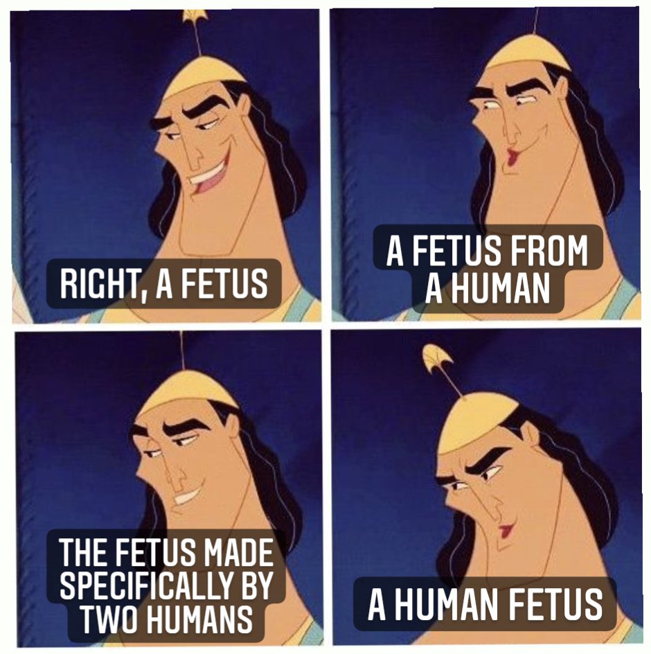 Royal Blue Raptor tweet media