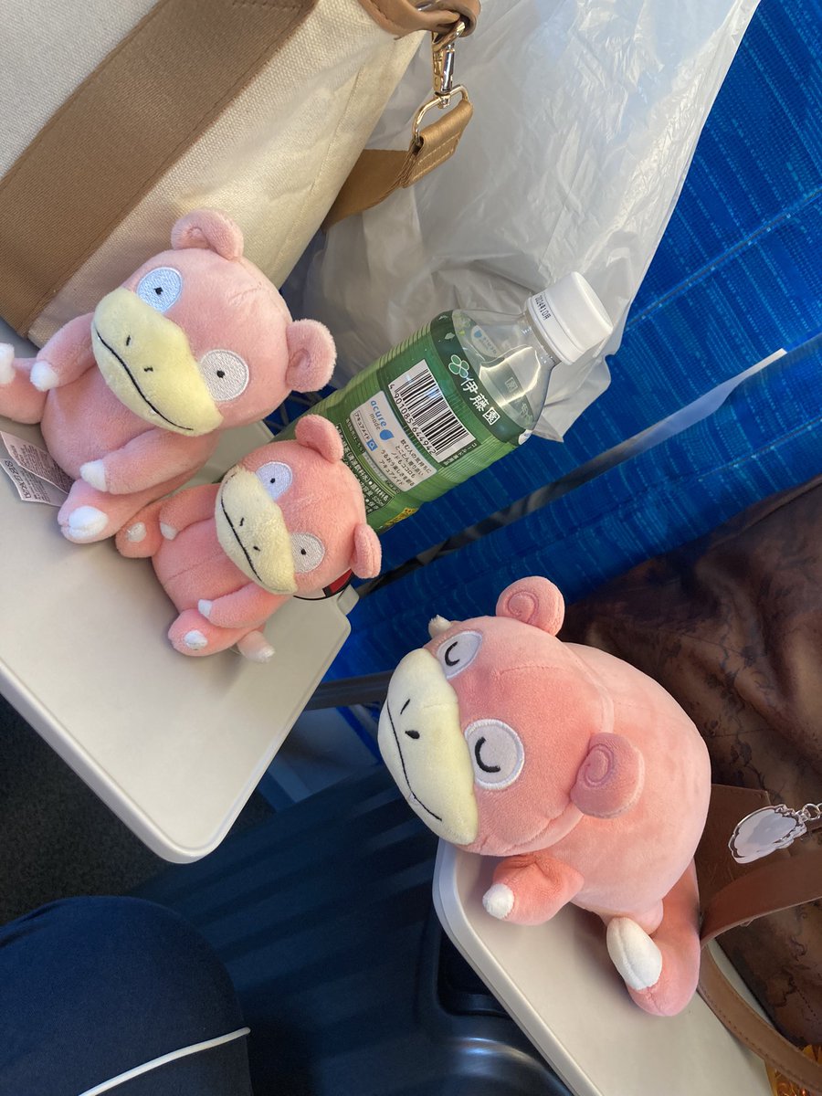 moachiiii's tweet photo. 行くぜ愛知 https://t.co/k8RKrYgyvr