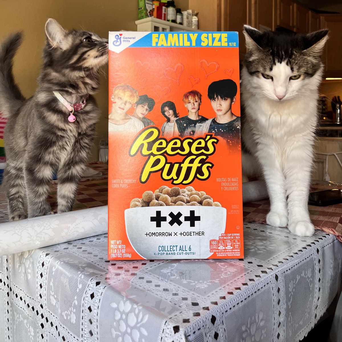 txt cereal is real !! ft my favorite moas leia and kylo 🤭