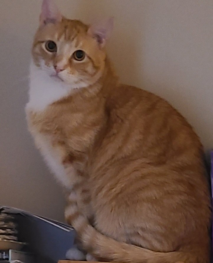 rcdriftzone's tweet image. I'm so cute love me