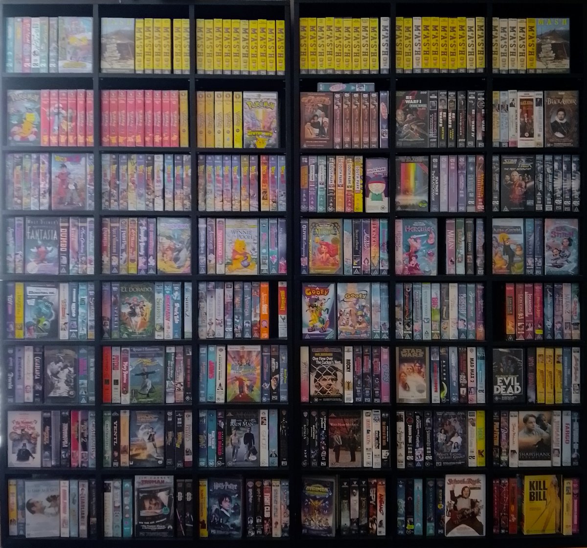 Thought I'd show off my VHS collection that I've been building for a couple years now
