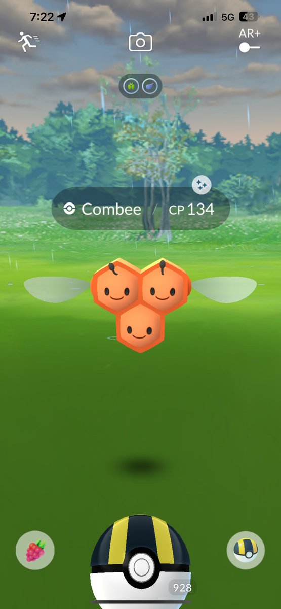 Took out the trash and found my 1st shiny combee (hopefully a female next time)