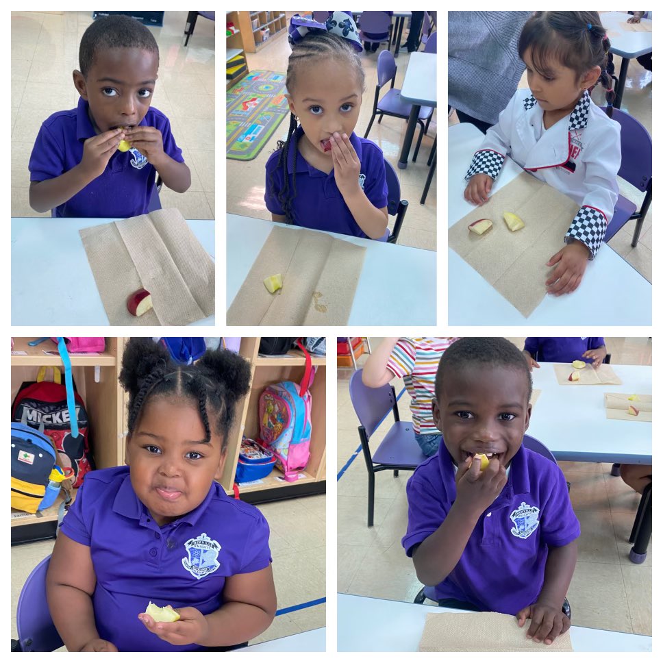 PK3 Week of the Young Child 2024! 

On Tasty Tuesday, our PreK students dressed up as chefs and tried different types of apples!  They look delicious!#MovingForward #BreakingBarriers #uKNIGHTed #CKHNationalShowcaseSchool #msaEASTiberville #MSA #Unity #MathScienceArts #STEAM