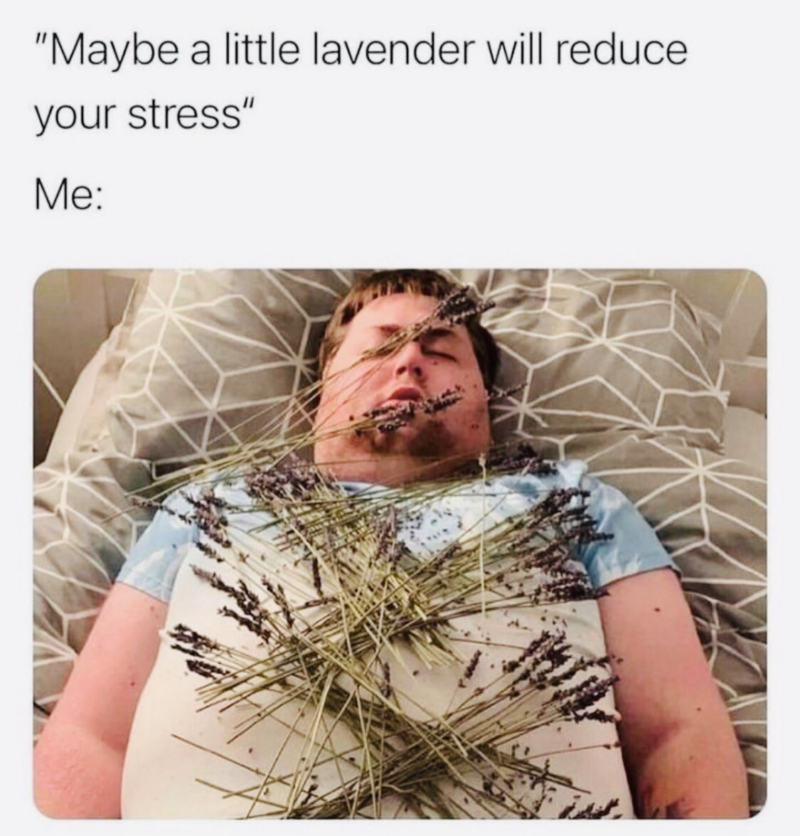 introvertsmemes's tweet photo. https://t.co/icK1EObhR8