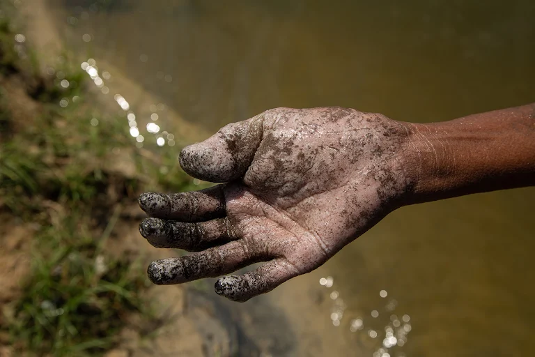 For decades, many women from the Irula community have been picking prawns, crabs and oysters from the Kosasthalaiyar riverbed by hand to make a living. The thermal plant’s river pollution has resulted in health issues, such as discoloured palms and soles. caravanmagazine.in/environment/gr…