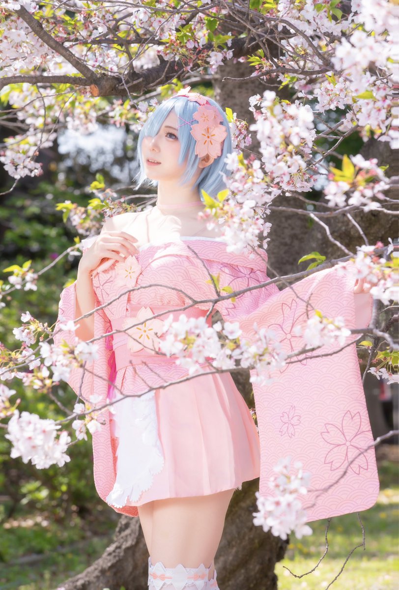 rairuki79's tweet photo. とても、綺麗ですね……🌸
 #cosplay https://t.co/ZwfHottwck