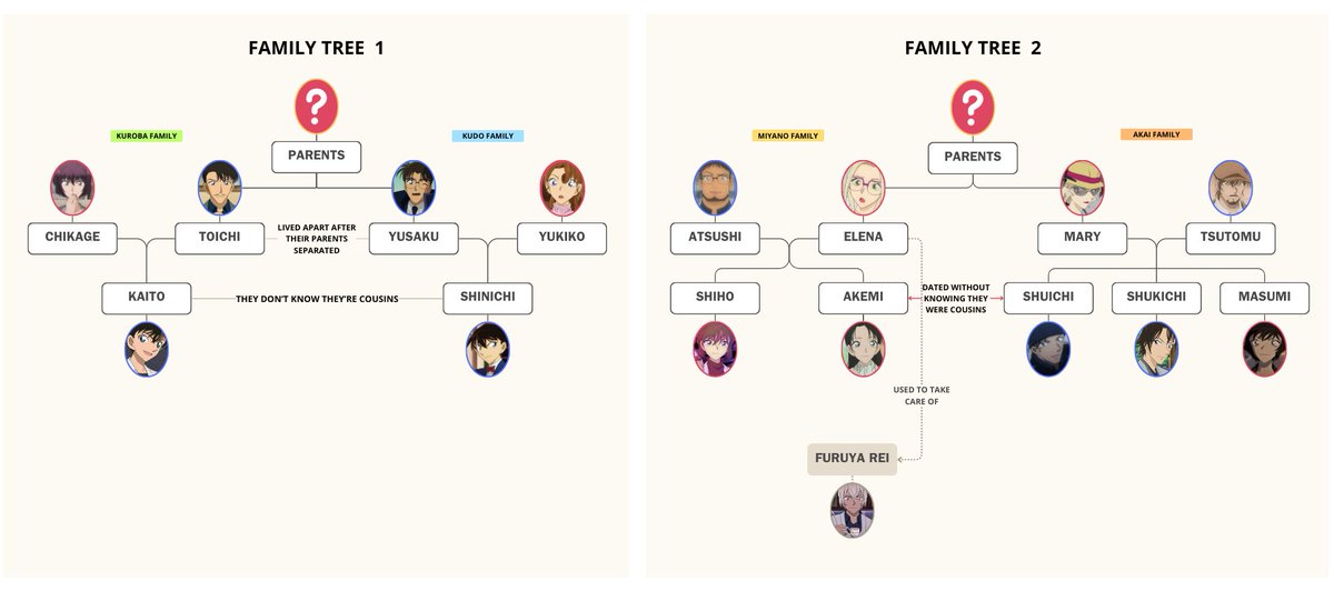 I say Shinichi and Shiho should marry and have the most chaotic family reunions ever