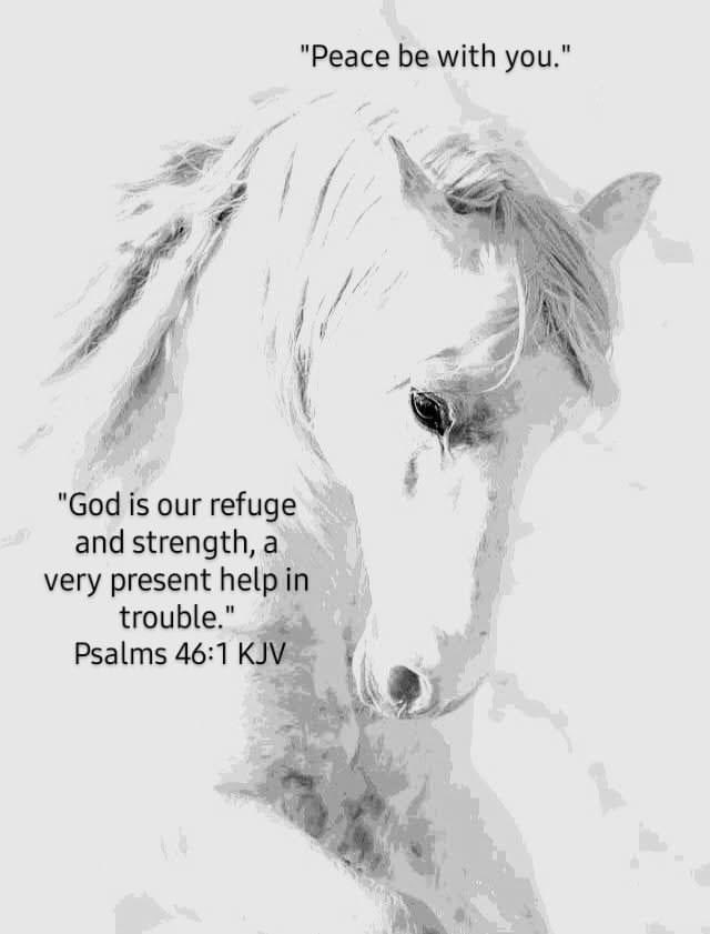 Trouble and heartache come to all , but God will see us through all of our troubles ❤️😊🙏

Ecclesiastes 9:2

“All things come alike to all: there is one event to the righteous,
