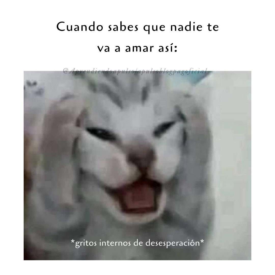 Aprendeapulso's tweet photo. lo que callamos los lectores https://t.co/PrDPCF2FIL