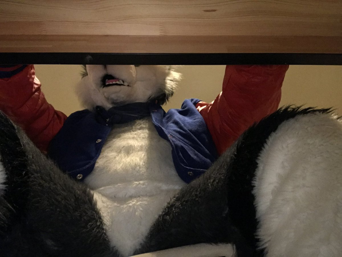 POV: you've been shurnken dowm and are stuck under the lecture hall desks during MAT 001 Remedial Math

#FursuitFriday