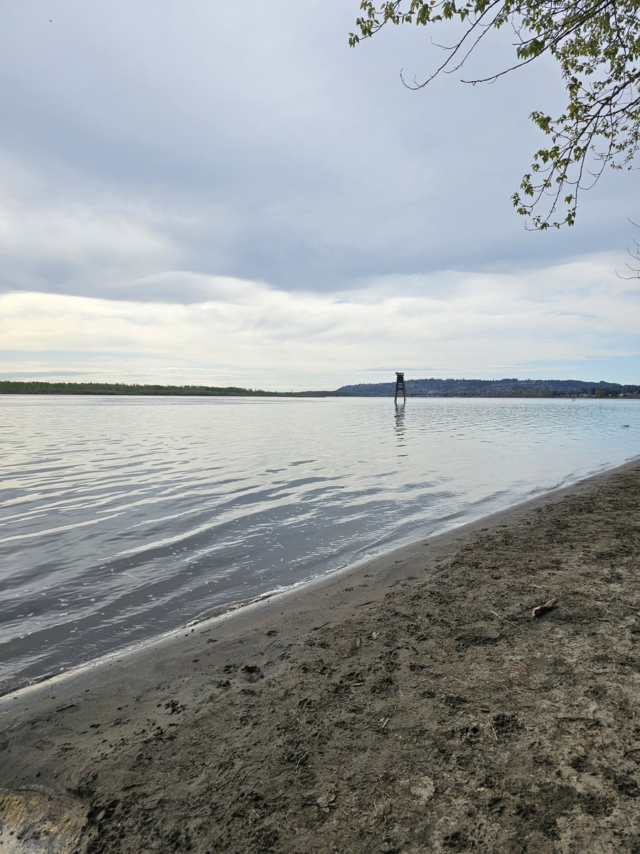 suchusite's tweet photo. Yknow what, we moved to Washington and we have to say. Best idea ever, we get to enjoy photography again. Picture taken by us! https://t.co/ccvzYAsBfi