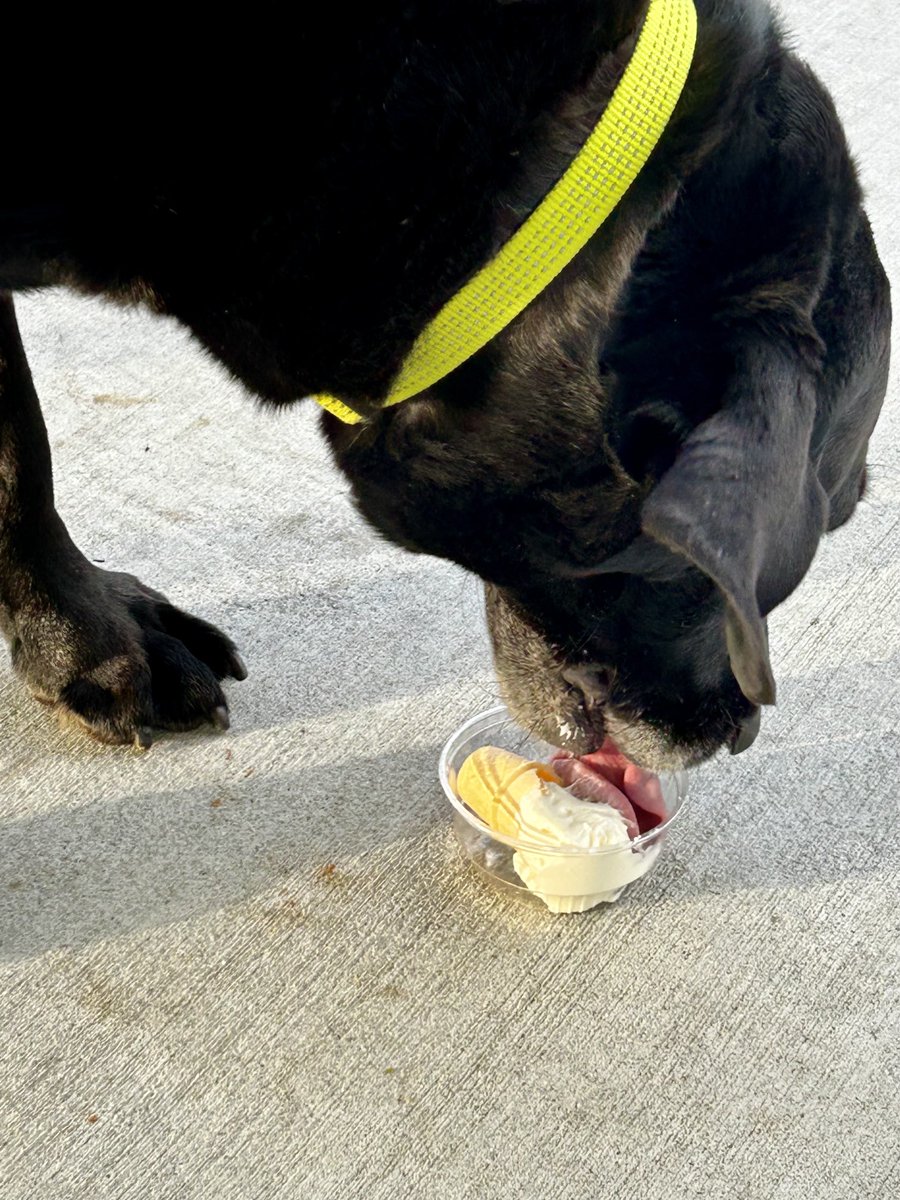 Happy 9th birthday to Tucker - went for doggie treat at Andy’s. Very exciting evening.