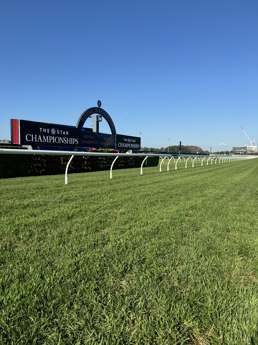 Day 2 of The Championships at Royal Randwick. Beautiful day. Track Soft 5, Rail 4m. Light dew this morning but think we will see an upgrade at some stage. Preview at 10am on @SkyRacingAU and another @tabcomau lay of the day. Punters have us on the ropes, need to land a knockout!