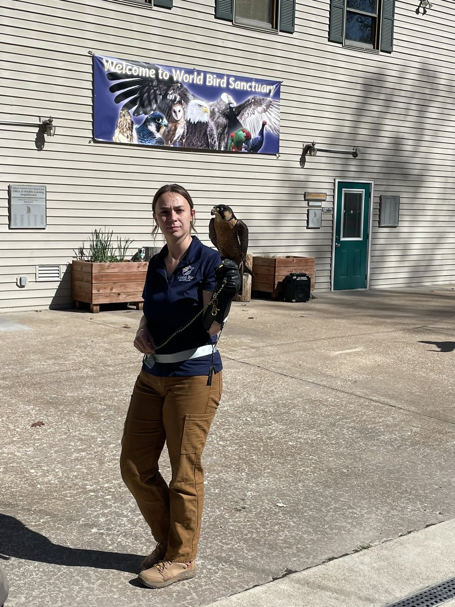 Amanda Davis tweet media