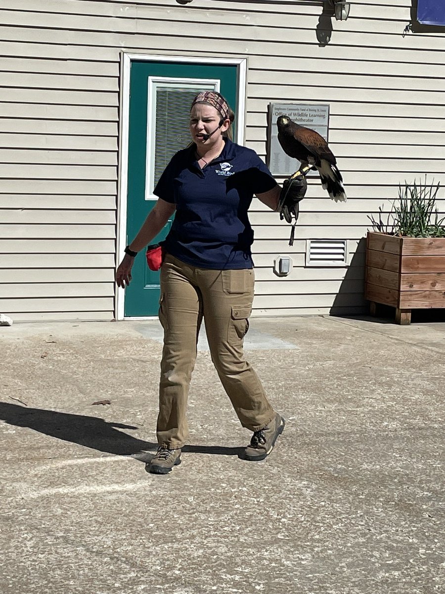 Amanda Davis tweet media