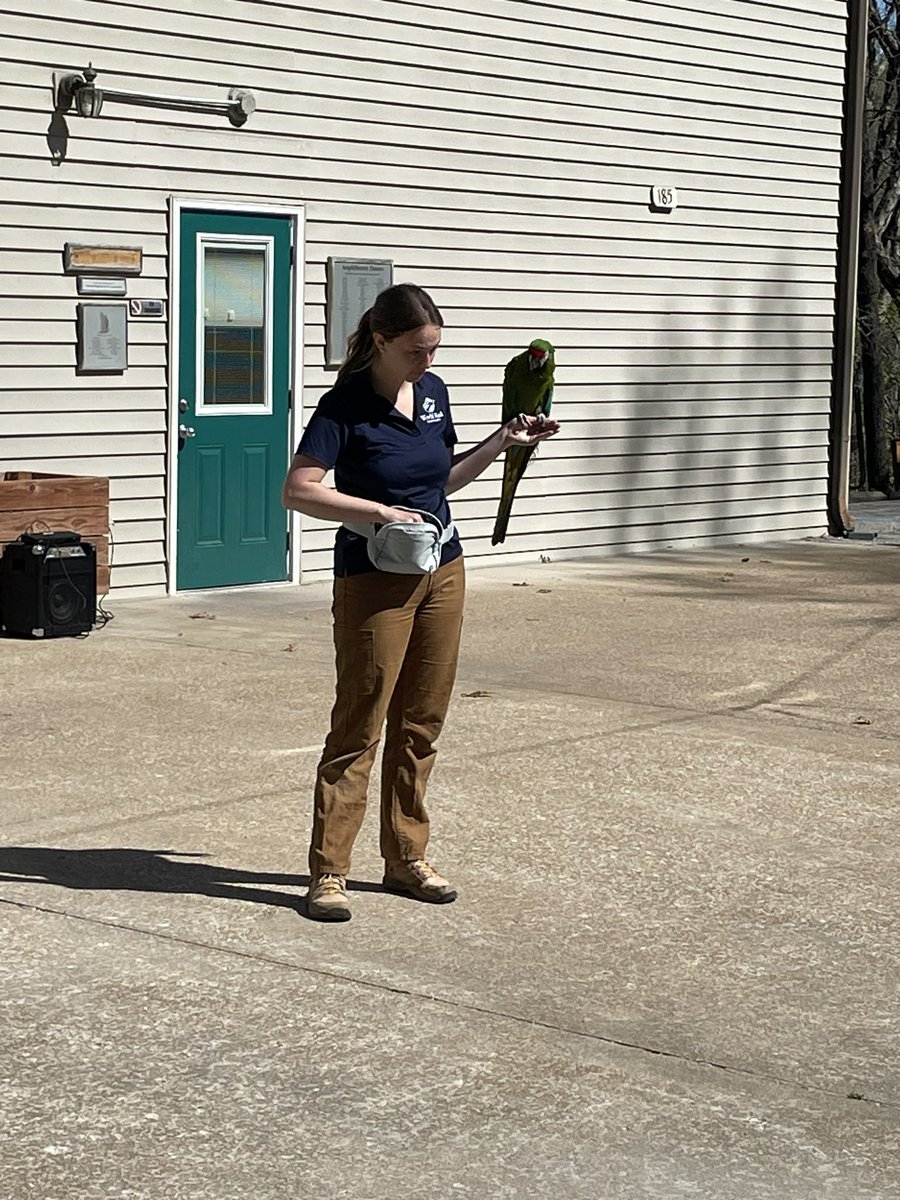 Amanda Davis tweet media