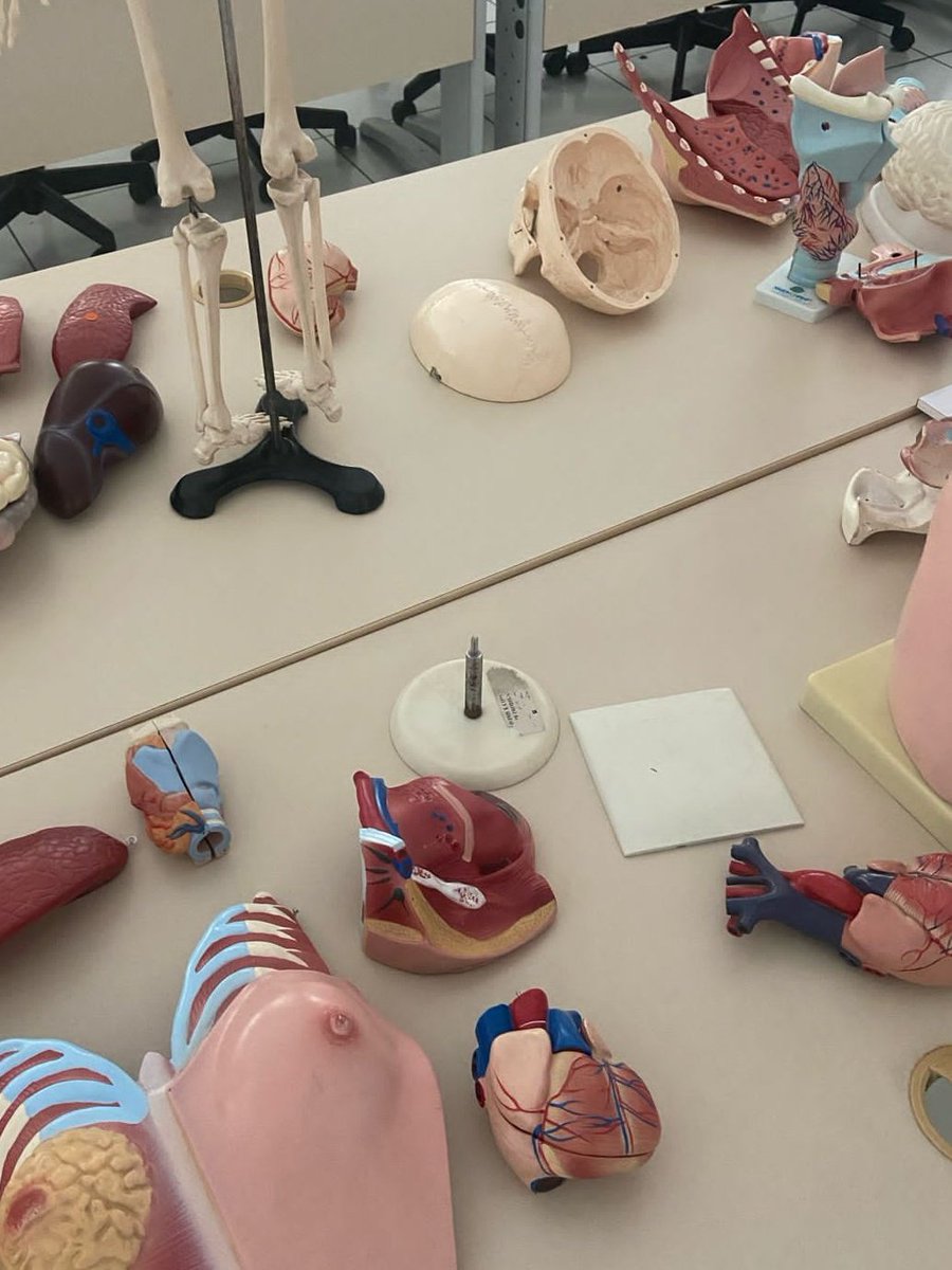 notesoobin's tweet image. lab fav &amp;lt;3