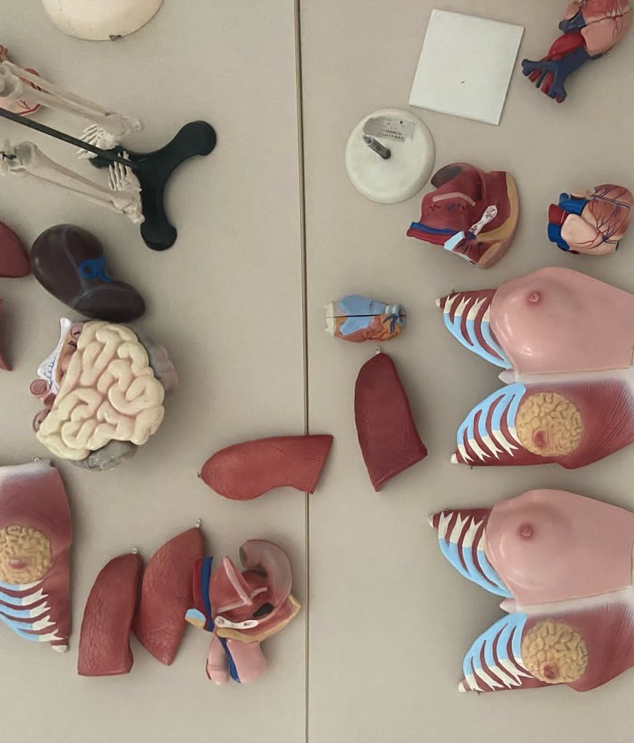 notesoobin's tweet image. lab fav &amp;lt;3