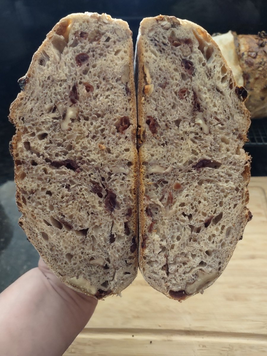 EllieBurnett11's tweet image. Your wish is my command.  #CranberryWalnut #Sourdough  #Bread