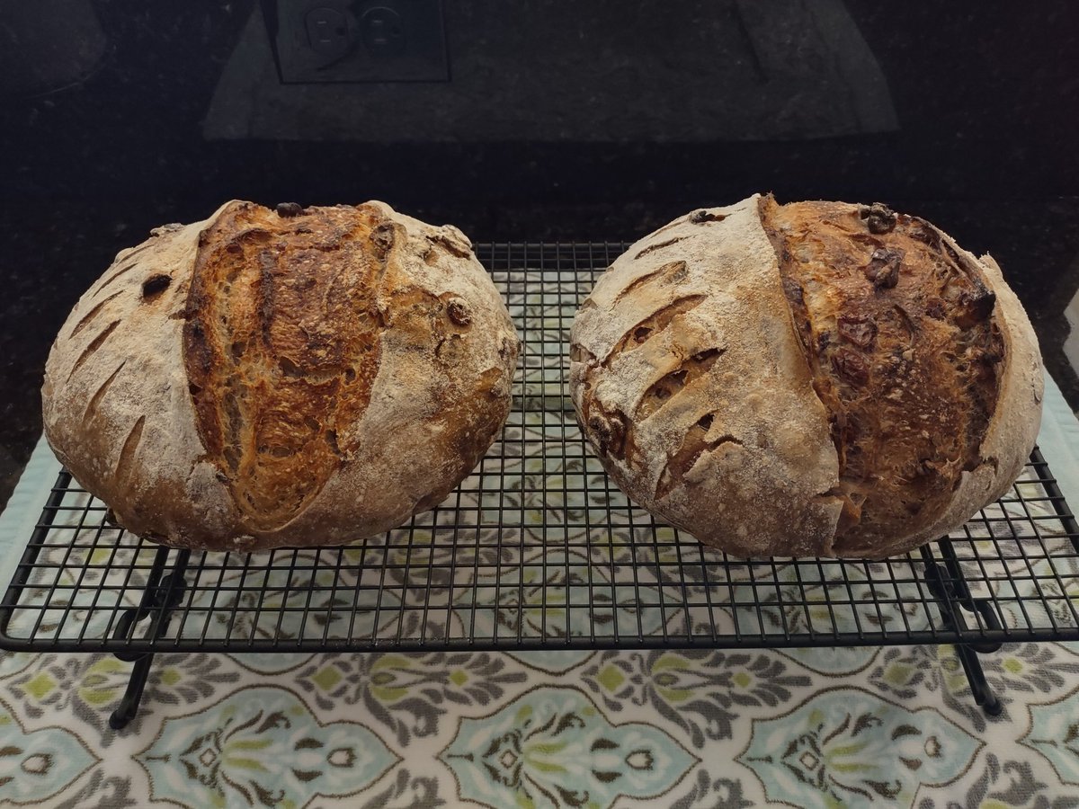 EllieBurnett11's tweet image. Your wish is my command.  #CranberryWalnut #Sourdough  #Bread