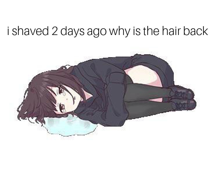 nyaathea's tweet photo. https://t.co/0s1IAi5Qzl
