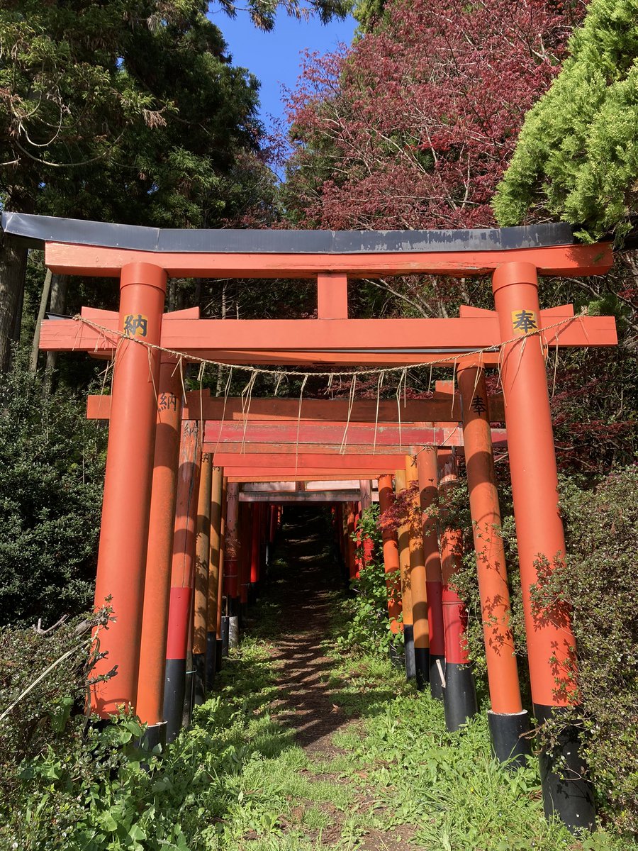 nkshmmst's tweet photo. 早朝横須賀 https://t.co/AtLFhRjsWR