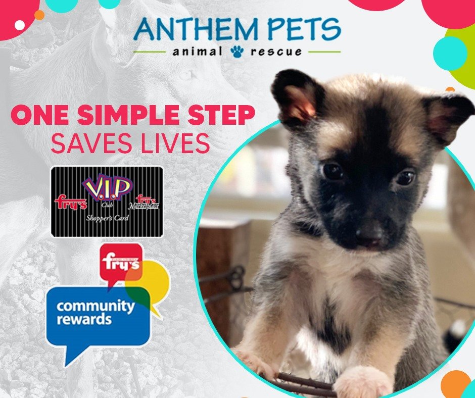 Donations add up quickly when you use Fry’s Community Rewards! This program is free and doesn't affect bonuses or fuel points. Sign up with Community Rewards, and when asked for the Anthem Pets NPO type in KK342. Thank you for supporting the rescue. 
bit.ly/AnthemPetsFrys…