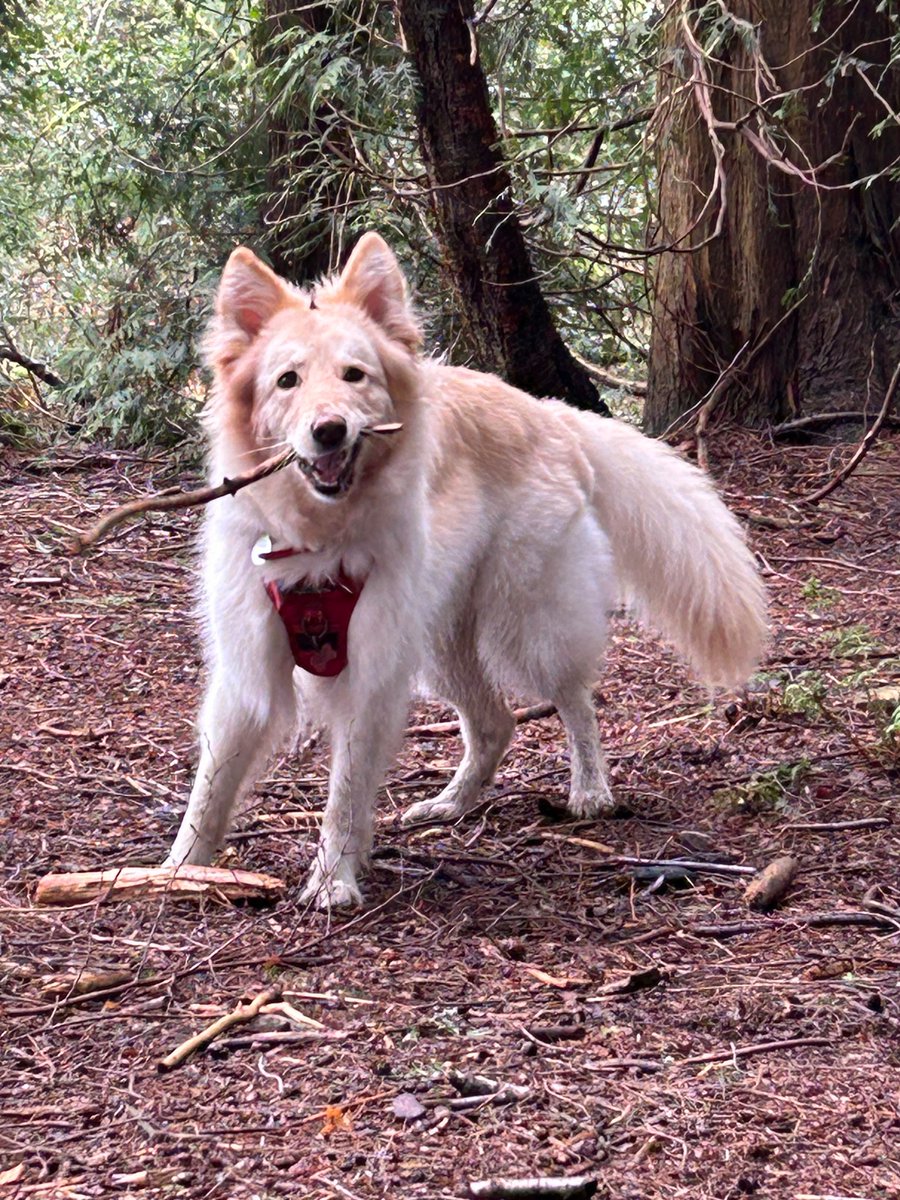 @OakleyandKrissy What a lovely smiling face… here’s Freya’s for #WeekendSmiles tsunami