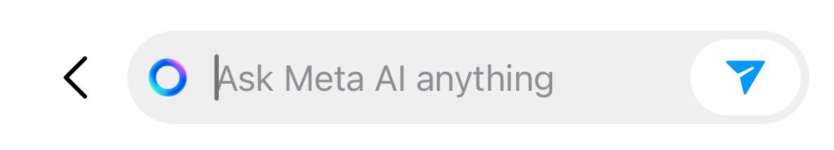 Shannon Chen See // watchensee tweet media