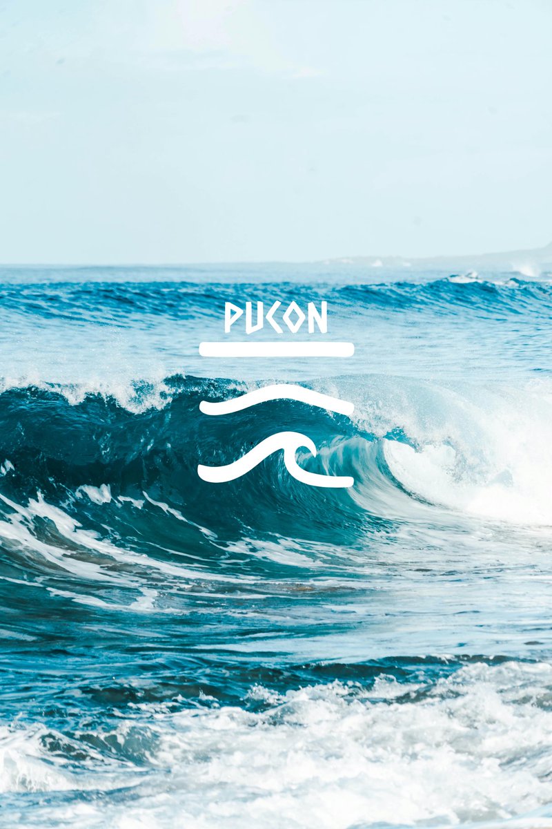 puconusa tweet picture