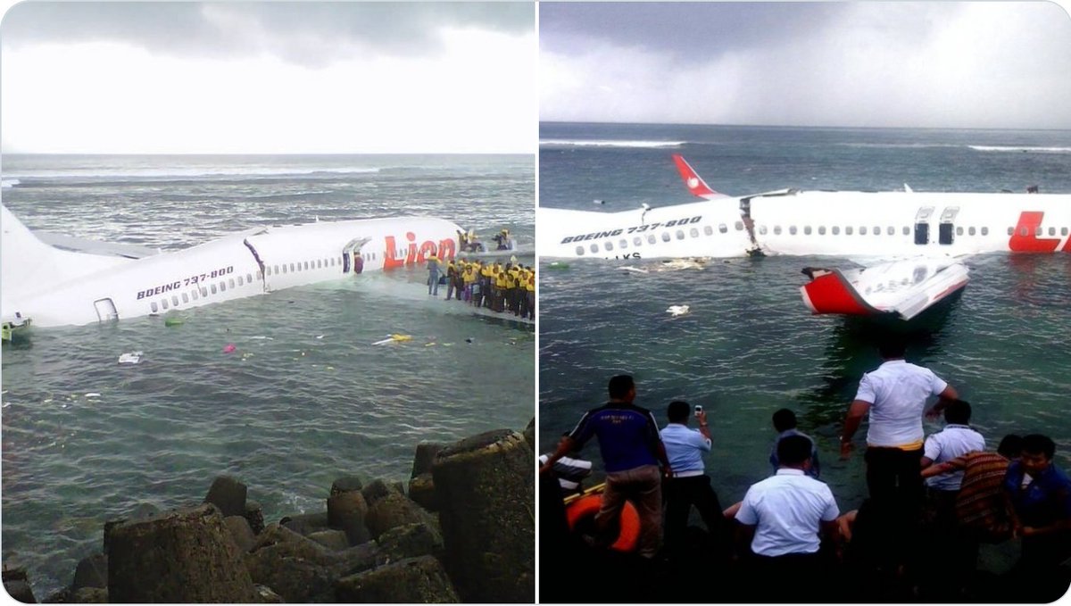 Francisco Cunha tweet media