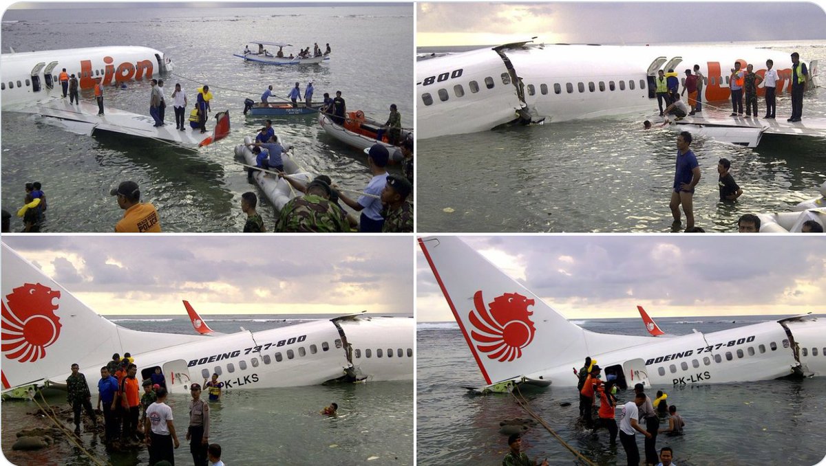 Francisco Cunha tweet media