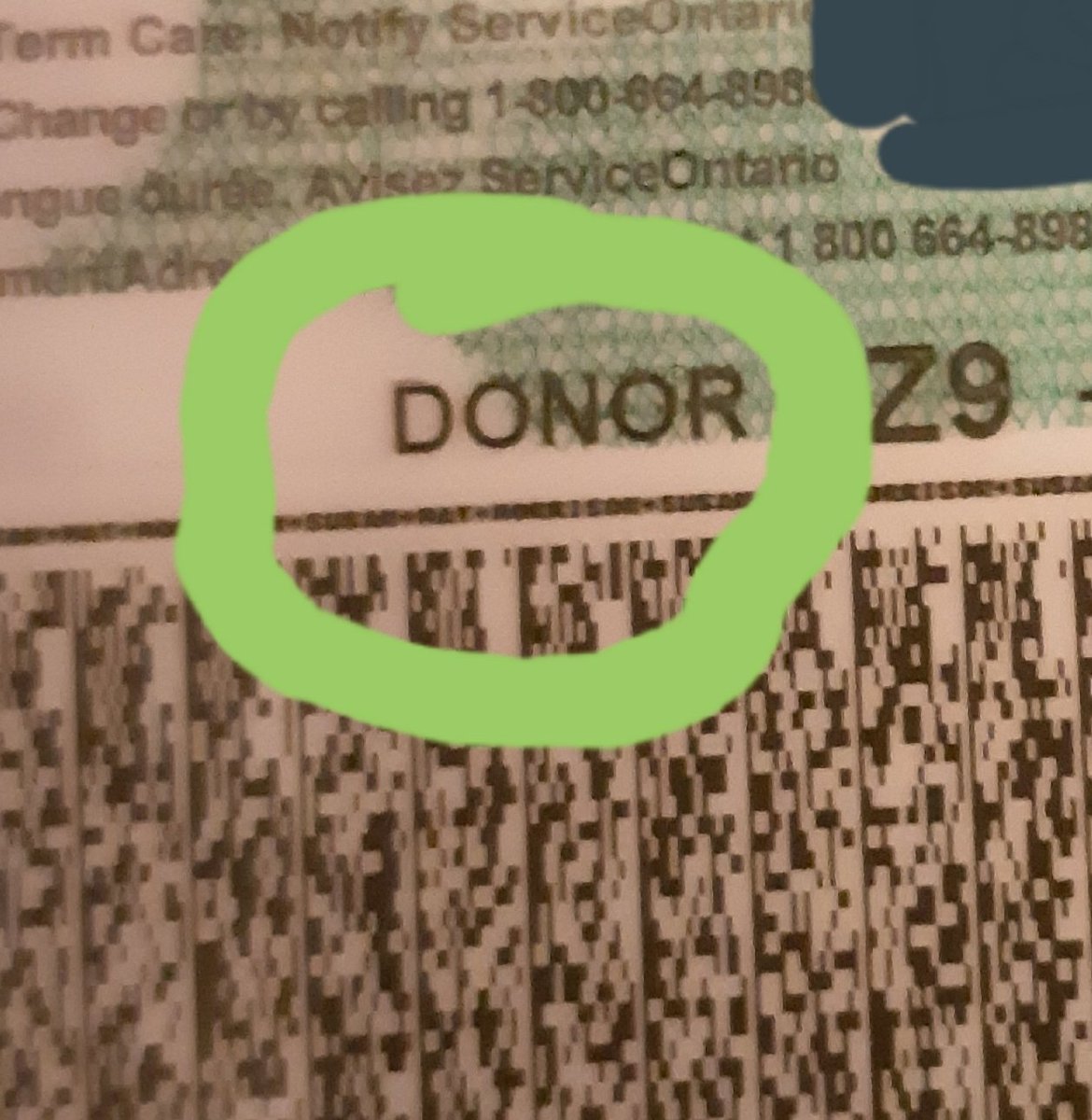SarniaDonors's tweet photo. Does the back of your OHIP card say this? 

It takes less than 2 minutes. Please register at https://t.co/FDvh058ViY

#1Saves8 #beadonor #notdam #SODA https://t.co/VNkjOi0KXo
