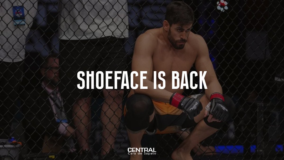 Conseguimos 50 RT'S aqui? Queremos ver!

SHOEFACE IS BACK