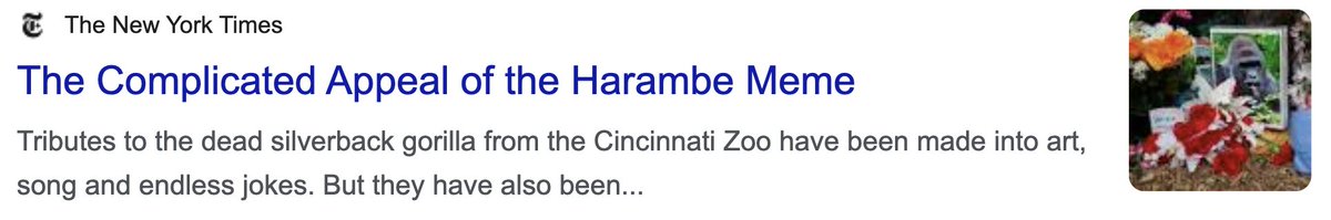 evankos_'s tweet photo. New York Times paid respect for $Harambe
@harambeonsolana https://t.co/W2dpAENRfq