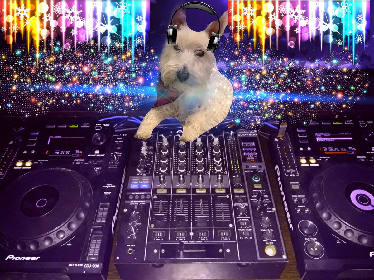 #Paws4Music 20mins to showtime pals! @Waffles_ShihPoo @JustSkate23 @upnorthmag @scoobthedog @JacksonTheHuski @OliverReAnimate @macwhittle @MissJemimaKitty @annin328 @HarrynPogue @Eleanor14943493 @SpankyvonAegir @gingersnap599 @DebG2021 @Free2BeeMee @tbootsc @Bailey1Cameron