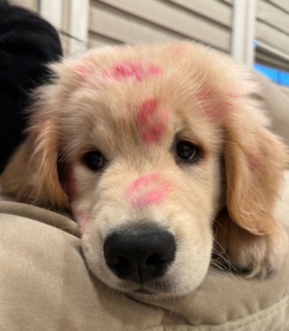 Eventuallyly's tweet image. Looks like you get a lot of kisses from girls, little one