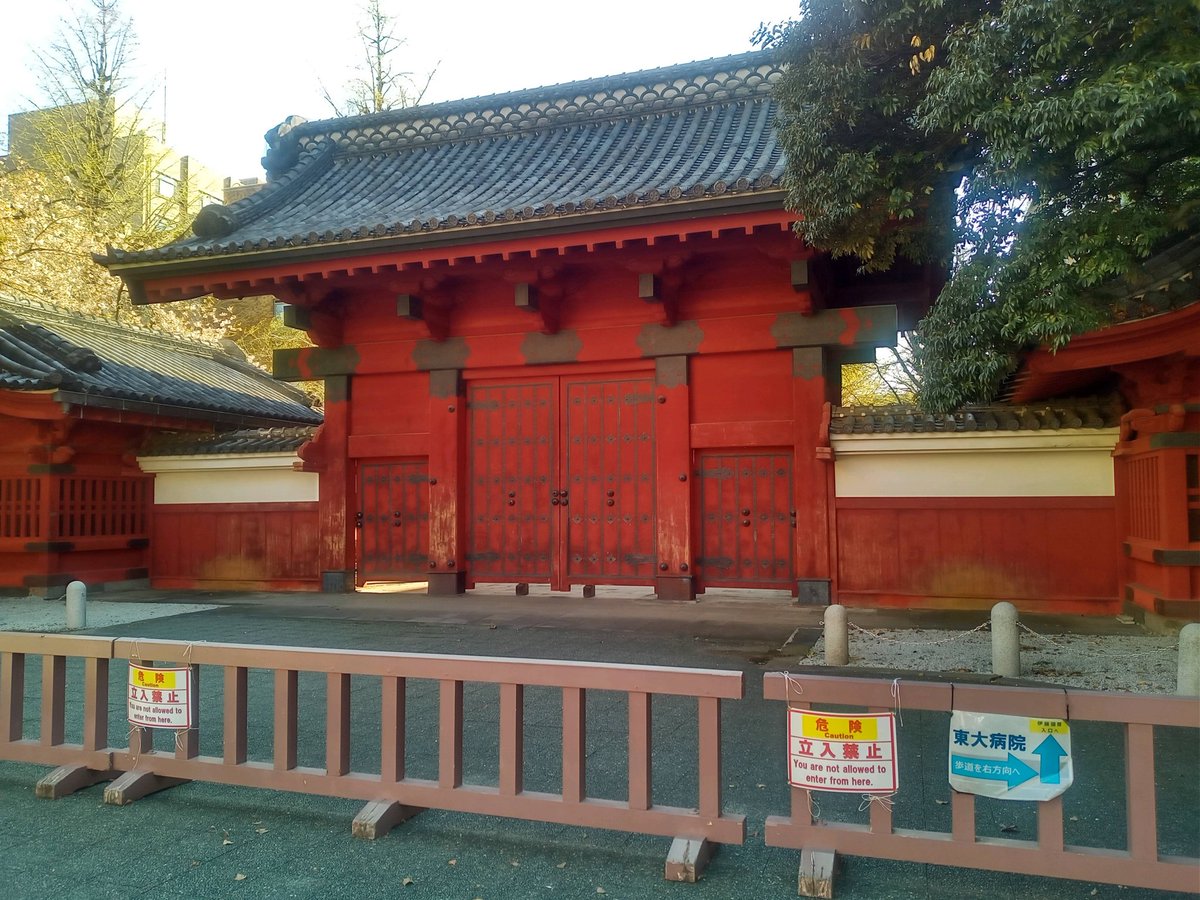 数日前から東大にきました。
これから数年はこちらで研究することになりました。